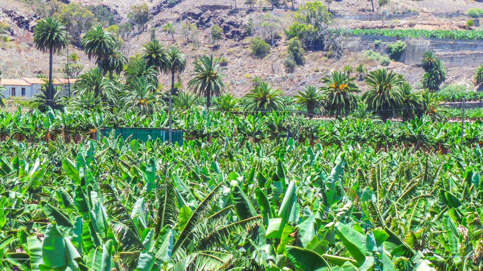 ארוקאס El Refugio Los Portales מראה חיצוני תמונה